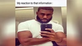 my-reaction-to-that-information-af68a24f1b60c0746be57d15b9a24f56-meme.jpeg